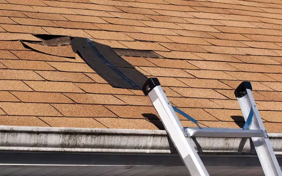 Common Roof Repairs in Louisiana