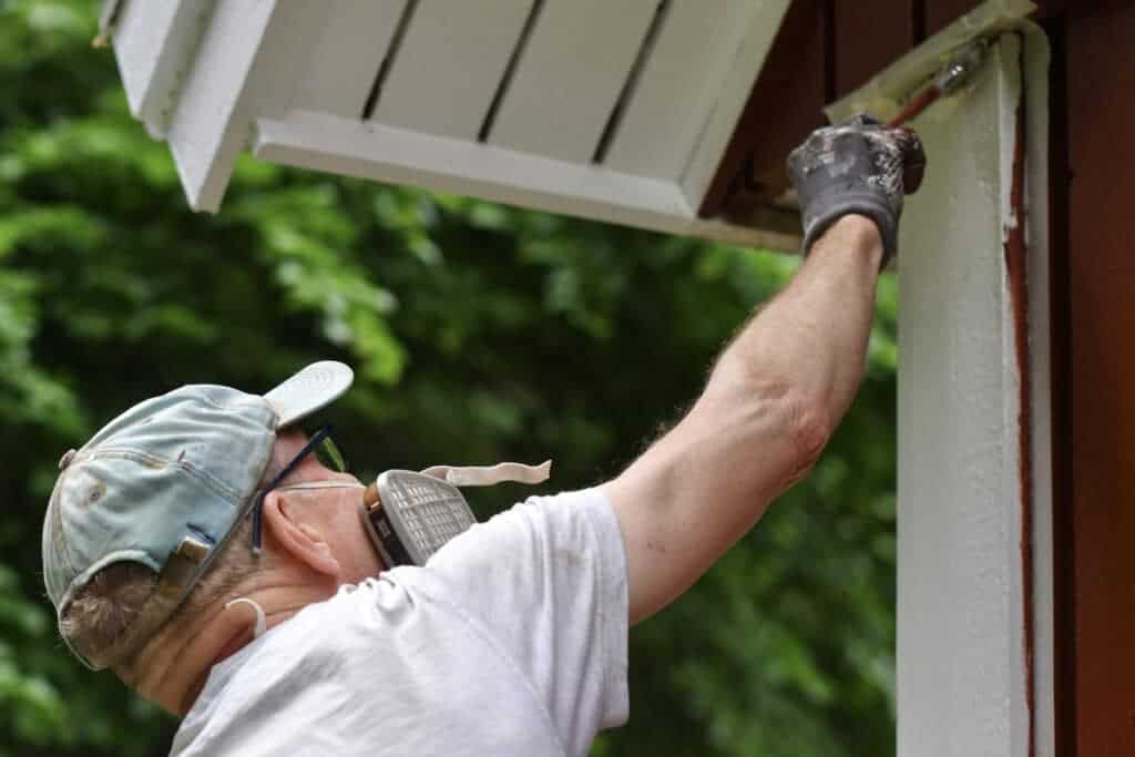 Vinyl Siding vs. Paint