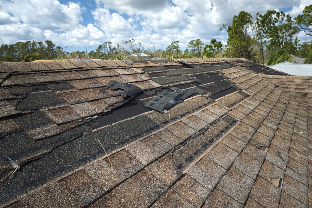 Should You Repair or Replace Your Roof?