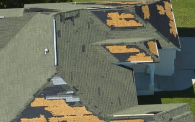 Should You Repair or Replace Your Roof?