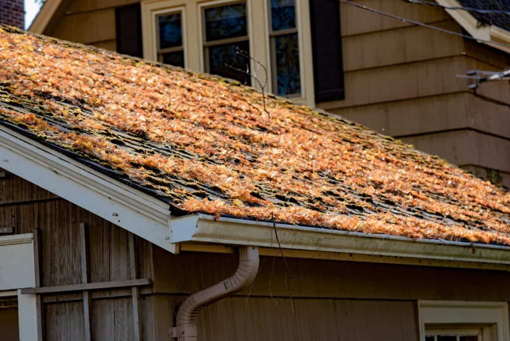 Why Every Homeowner Needs Regular Roof Inspections 