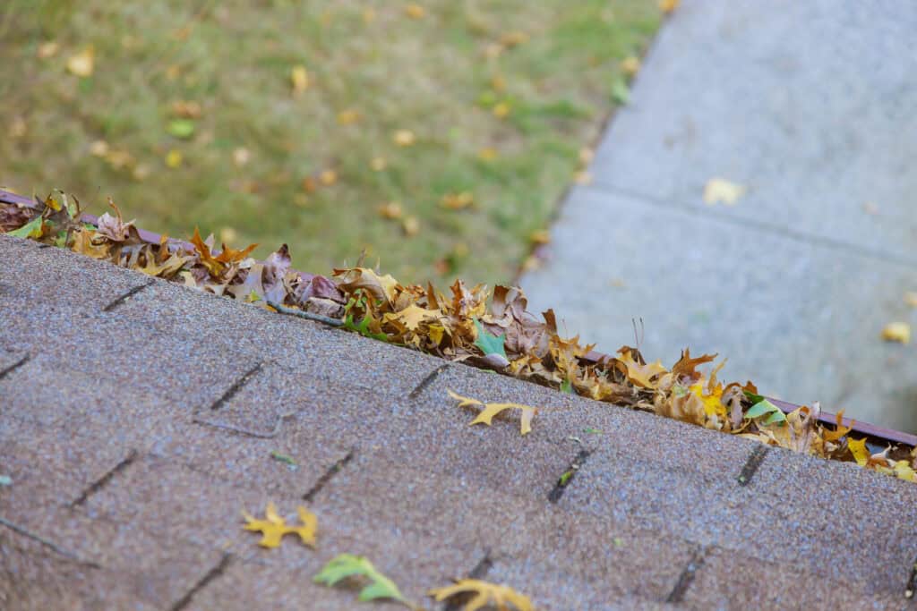 Small Roof Leaks Can Lead to Huge Problems