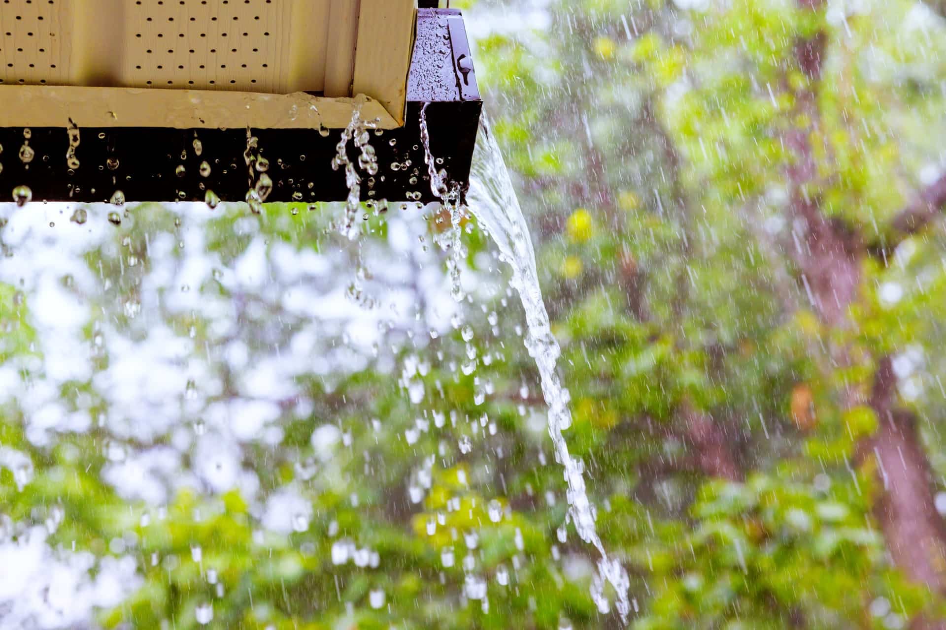 Why Small Roof Leaks Can Lead to Huge Problems